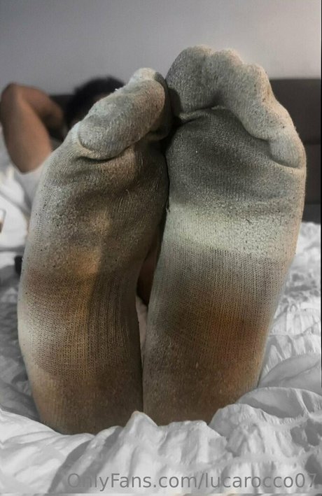 lucarocco07 best model img