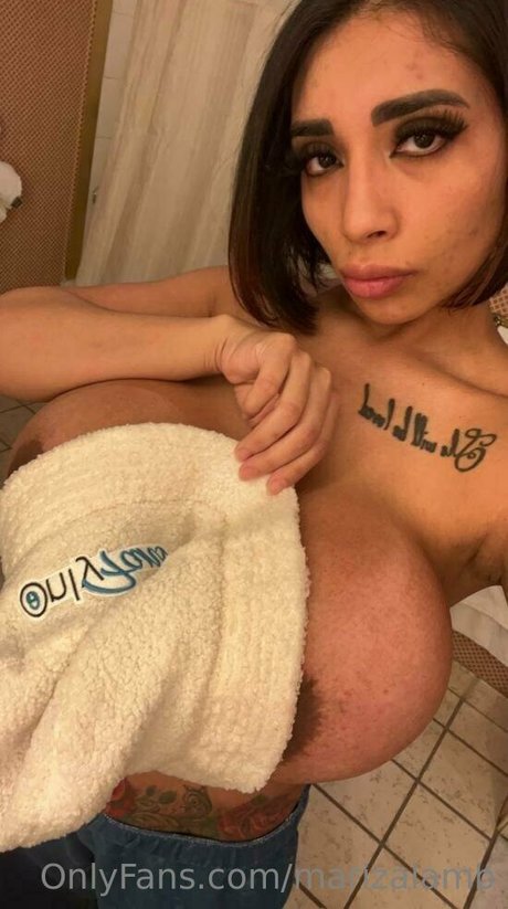 marizalamb art pornstar photos