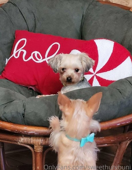 x cherrybxmb x star nude archive