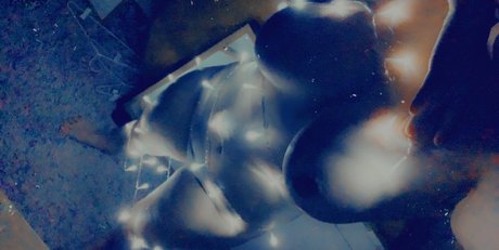 lovelola1463 free star pictures