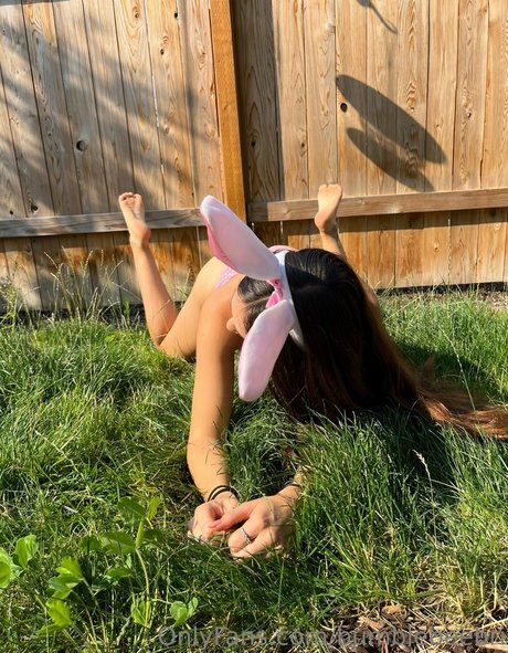 bumblebeebri adult model img