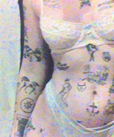 Velvetears pornographic star pictures