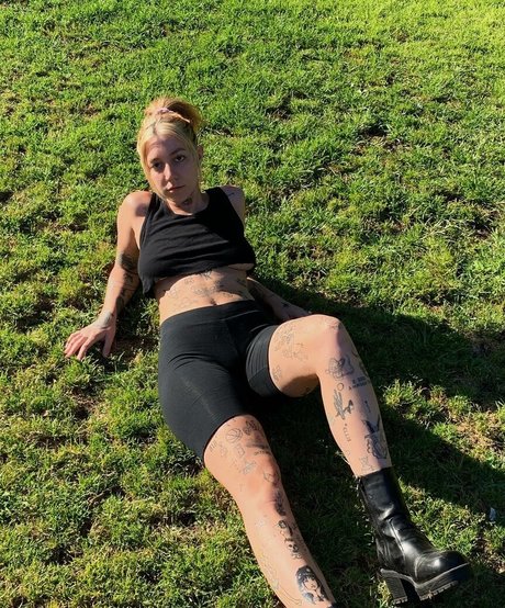 Velvetears star nice archive