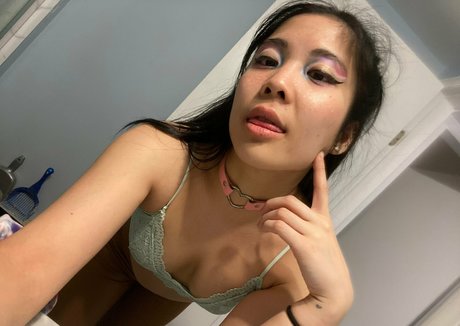 myleskitty pornstar nice galleries