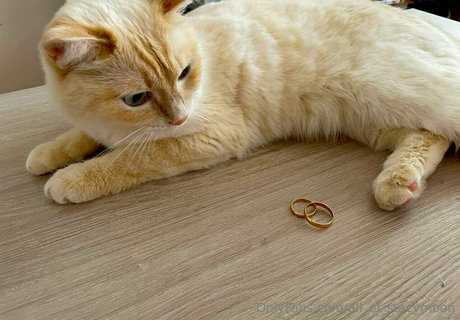 all of stacymoon beautiful model gallery