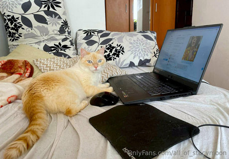 all of stacymoon sex star images