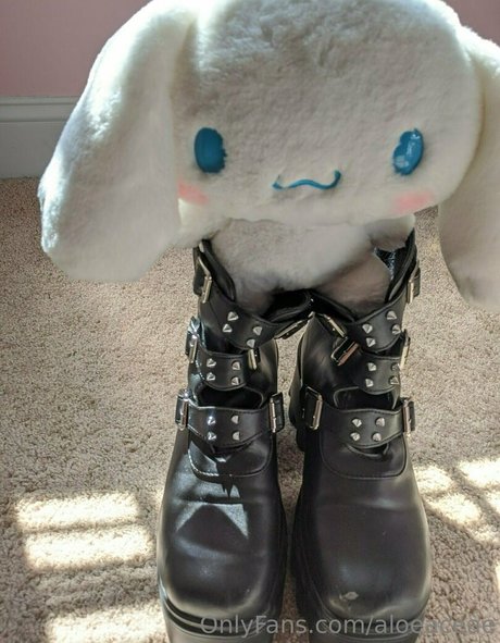 aloeaceae star xxx pictures