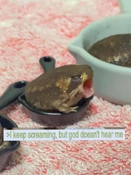 aloeaceae hd actress images