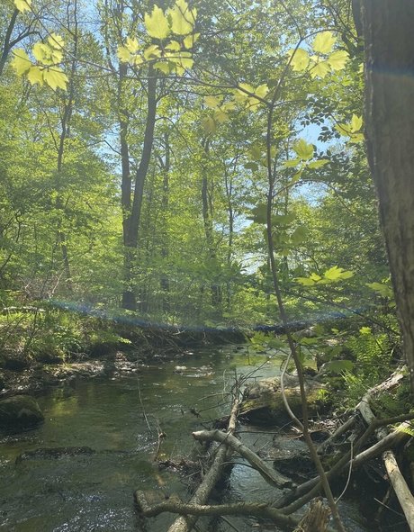 aloeaceae xxx pornstar pic