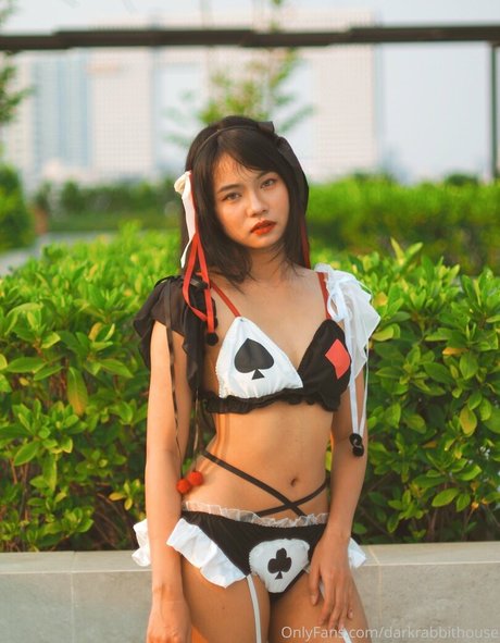 Darkrabbithouse sexy star galleries