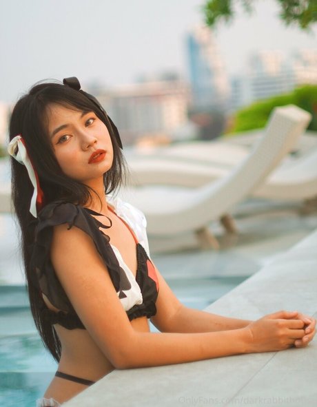 Darkrabbithouse best star images