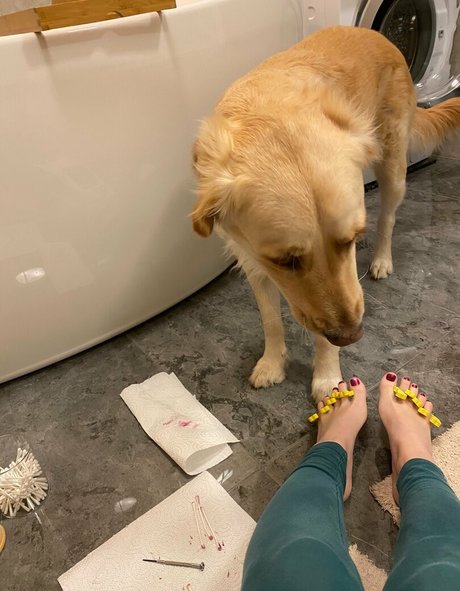 bellas paws star best archive