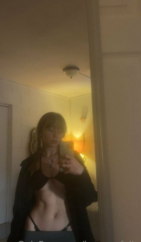 brycesgfelle star porn image