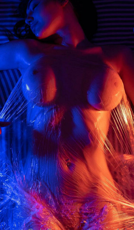 annyplein star adult picture