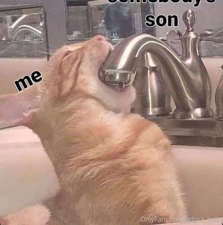 adora belly model picture