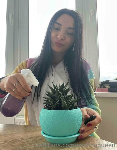 evelinaqueen pornstar pretty photo