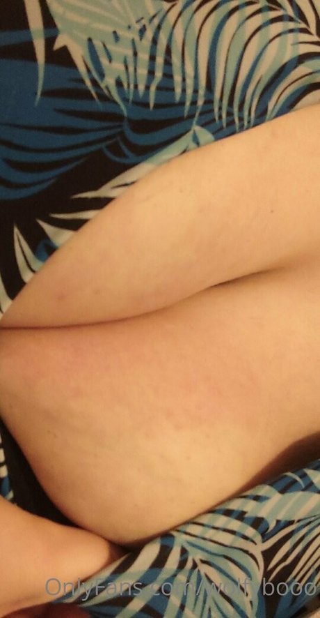 wolfybooo art pornstar galleries