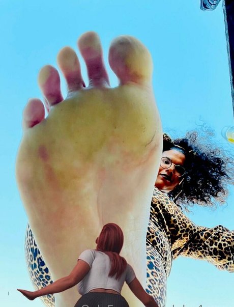 alpha4envy star nice gallery