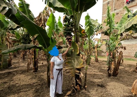 babylonias nude actress galleries