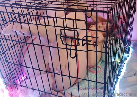 urarakaochako nudes star images