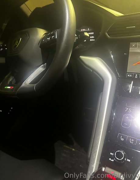 biglivvv model art gallery