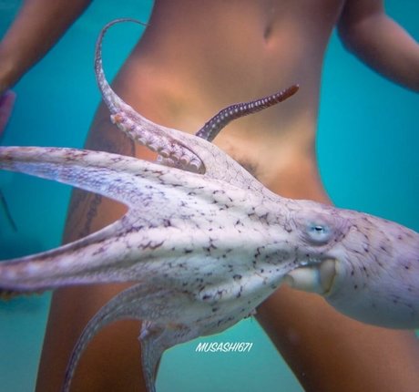 TheNakedIsland star naked archive