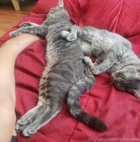 jerk onlyfans hot xxx images