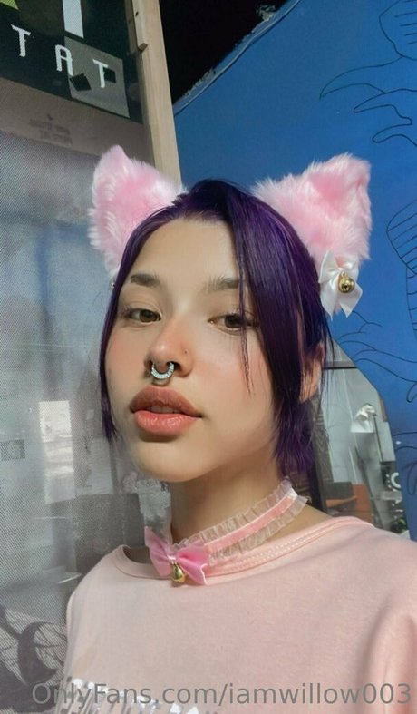 iamwillow003 best actress photo