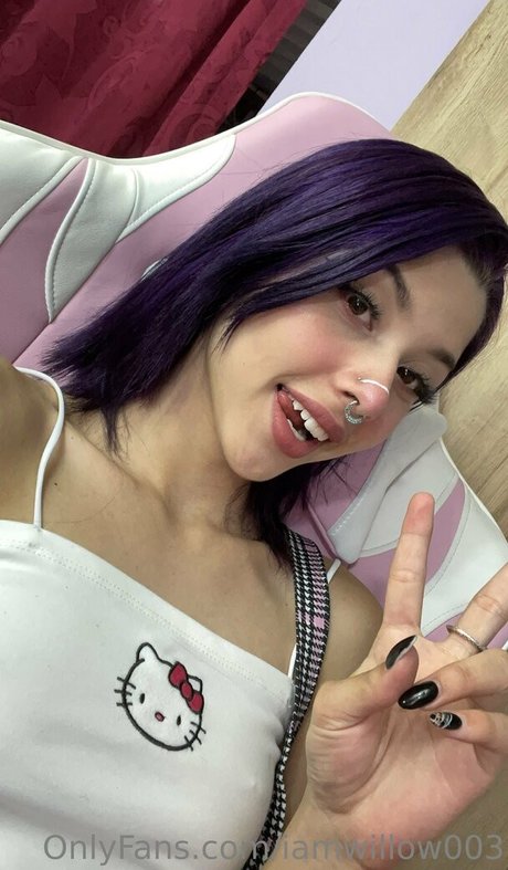 iamwillow003 pornographic actress archive