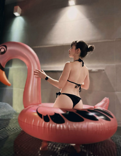 kibumpng star adult archive