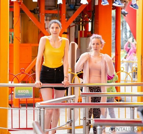 anntallogy exclusive star gallery