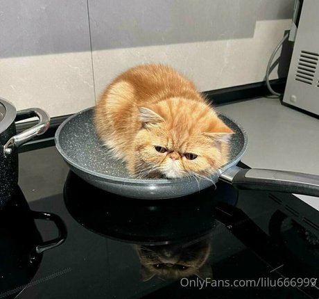 lilu666999 naked actress galleries