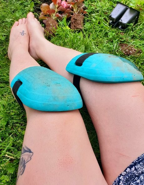 stevie stunner porn star picture