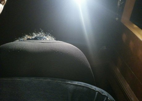 crimson ghoul pornographic actress photo