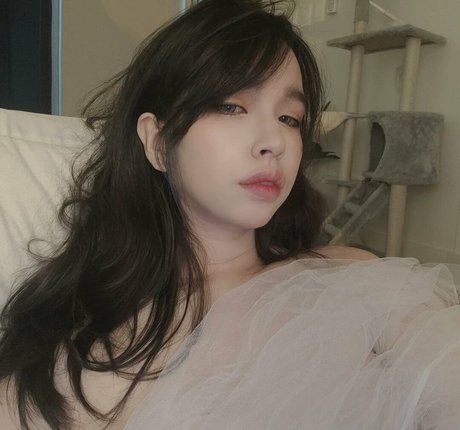 Emiliabear pretty star gallery