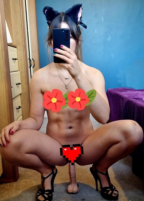 liketeenfree star free archive