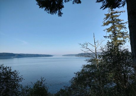 ivypearl42069 top pornstar img