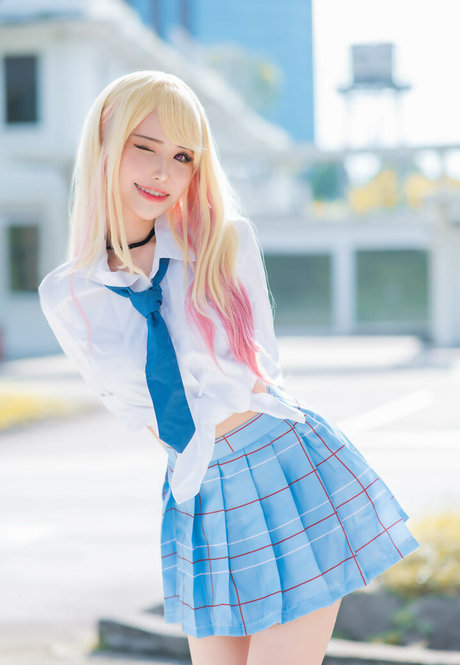 Plant Lily star hd image