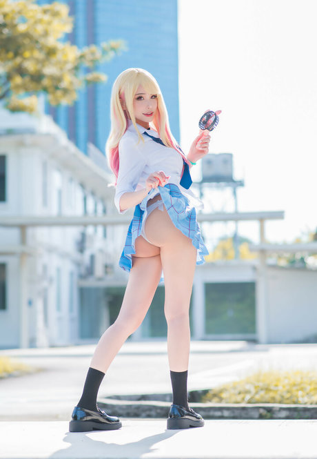 Plant Lily star hot image