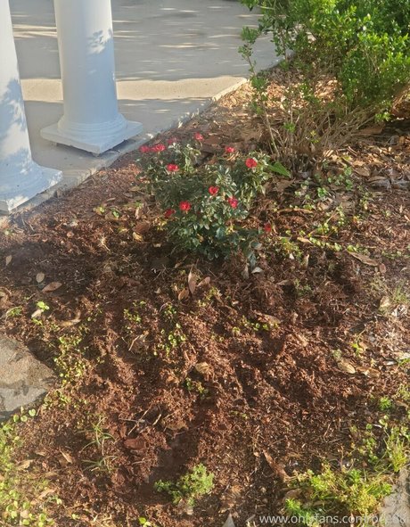 bee88i top model pictures