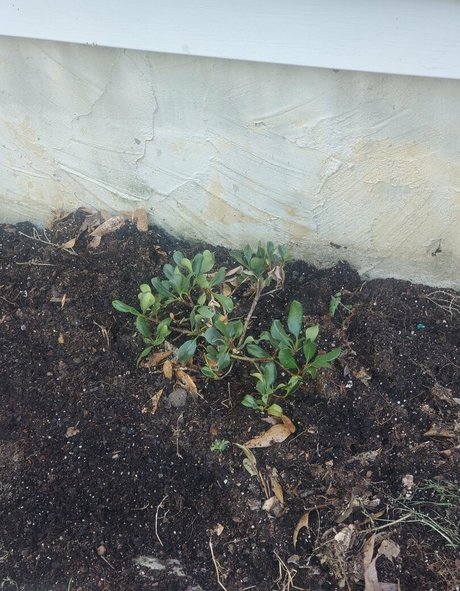 mom onlyfans porn archive