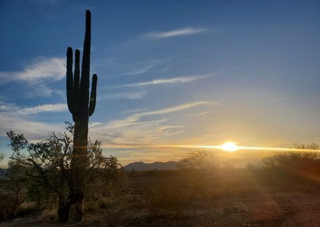 white ass onlyfans naked pic