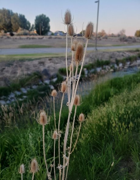 amateur pussy onlyfans exclusive photo