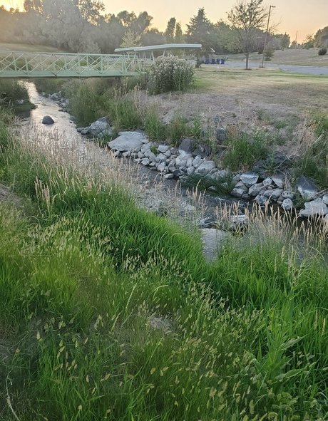 bee88i naked model pictures