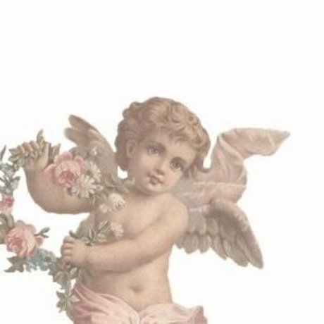 whenflowersbloom sex pornstar picture