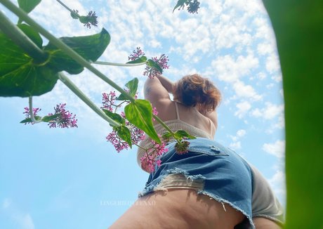 lingeriequeenfree star hd archive