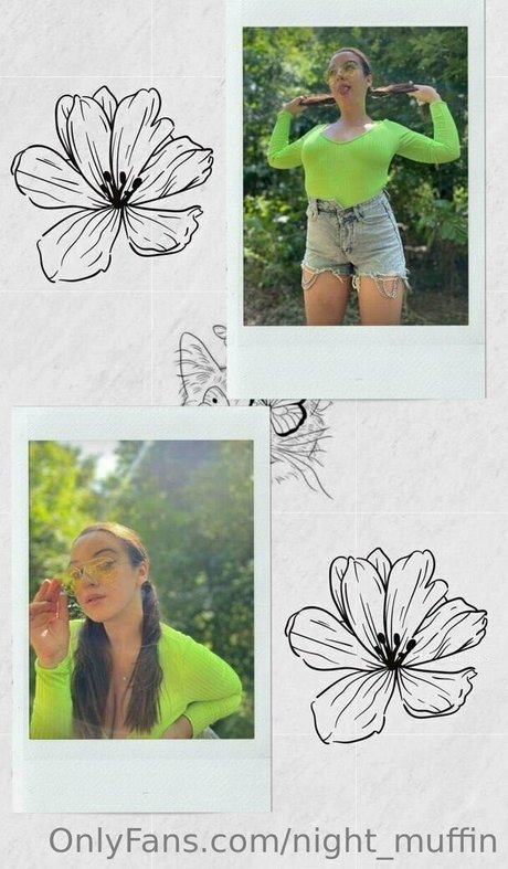 night muffin star nice photo