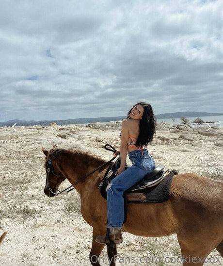 Bri Cookie pornstar gallery