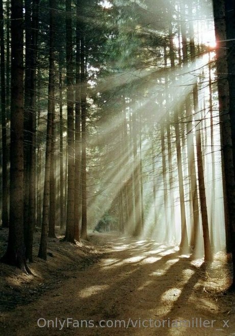 best pussy onlyfans art naked galleries