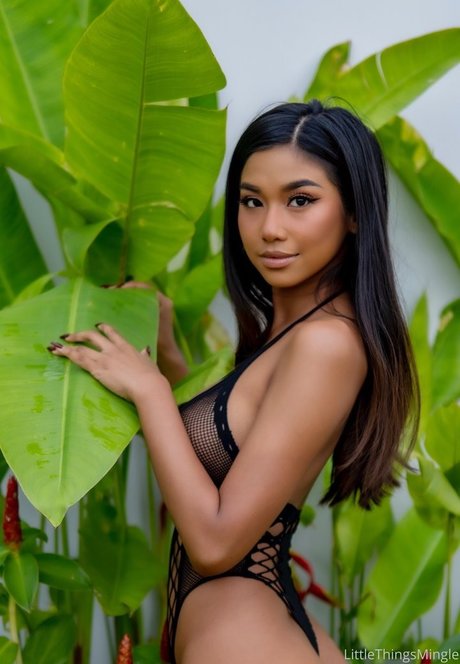 sports star onlyfans xxx img